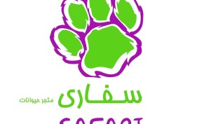 Buy a bird game and get the second for free, or pay the difference