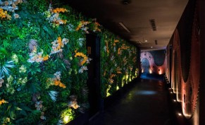 20% discount on the total bill