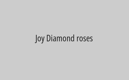 Joy Diamond roses